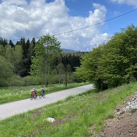 Rénové Avec Sauna, Proche Gérardmer - Fr-1-589-796 * Sapois (Vosges)