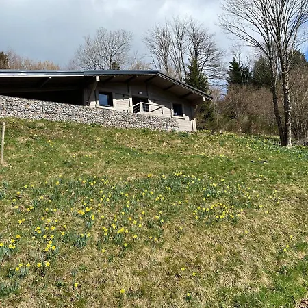 Renove Avec Sauna, Proche Gerardmer - Fr-1-589-796 *