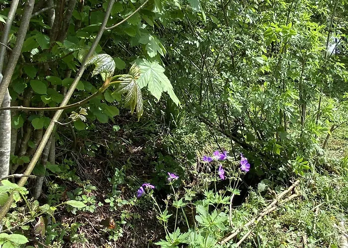 Renove Avec Sauna, Proche Gerardmer - Fr-1-589-796 度假居 Sapois (Vosges)