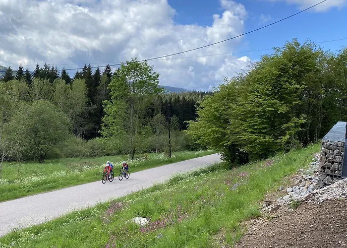 Renove Avec Sauna, Proche Gerardmer - Fr-1-589-796 * Sapois (Vosges)