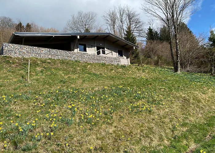 Renove Avec Sauna, Proche Gerardmer - Fr-1-589-796 *